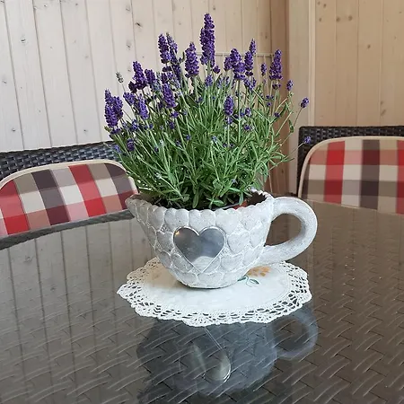 Apartment Apartmaji Susnik *