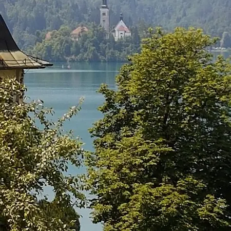Apartment Apartmaji Susnik Bled