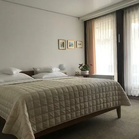 Apartmaji Susnik *